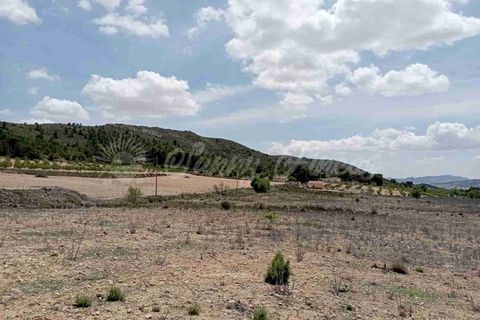 Helårsgrund i Yecla, Murcia, Yecla - € 25.000 | Ref: SF0457 - foto 9